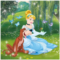 Dino Disney princesės 3*55 detalės