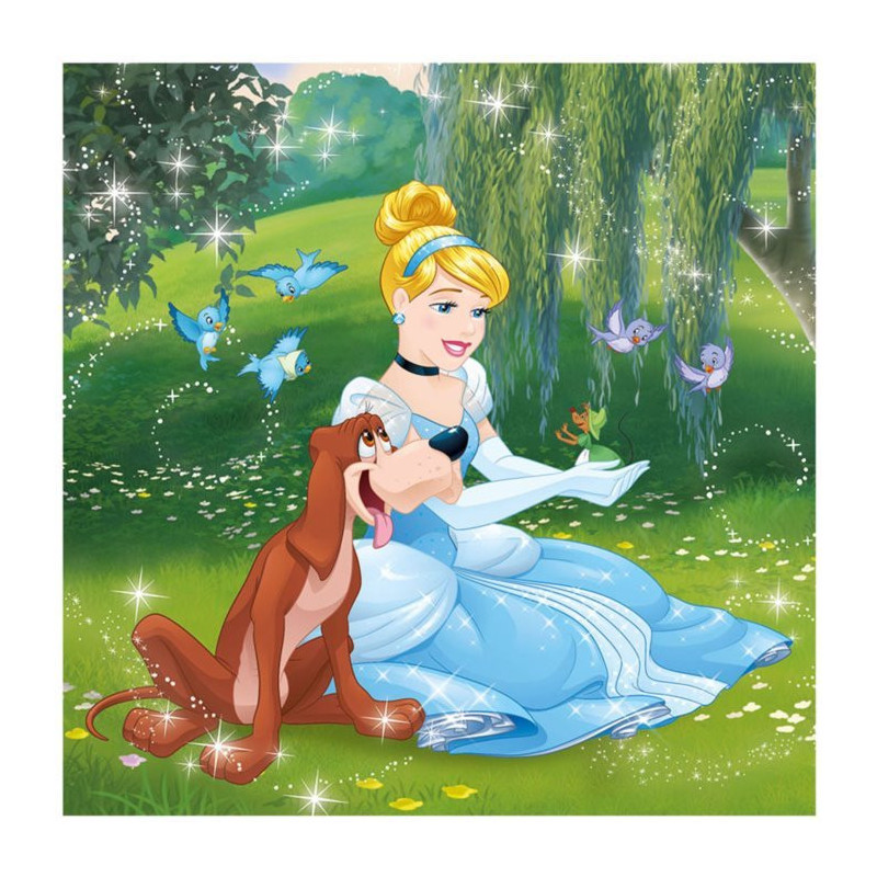 Dino Disney princesės 3*55 detalės