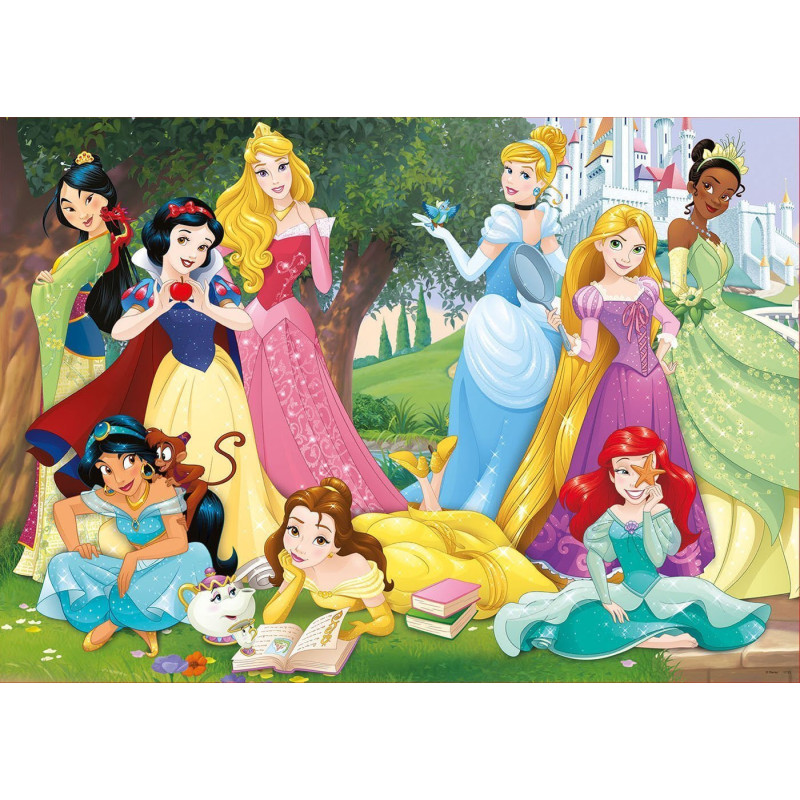 Educa Disney princesės/Disney princess 500 detalių