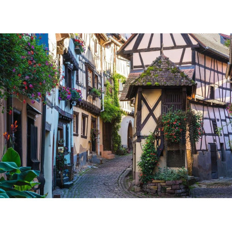 Ravensburger Eguisheim Alsazijoje 1000 detalių