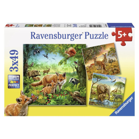 Ravensburger Žemės gyvūnai 3*49 detalių