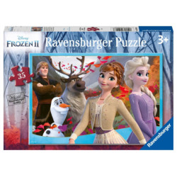 Ravensburger Ledo šalis 35 detalės