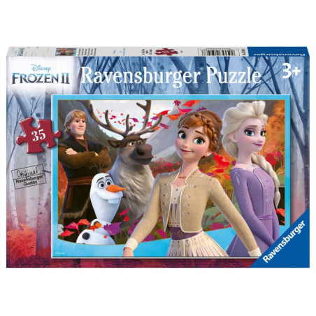 Ravensburger Ledo šalis 35 detalės