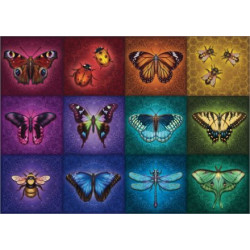 Ravensburger Sparnuoti daiktai 1000 detalių