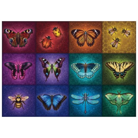 Ravensburger Sparnuoti daiktai 1000 detalių