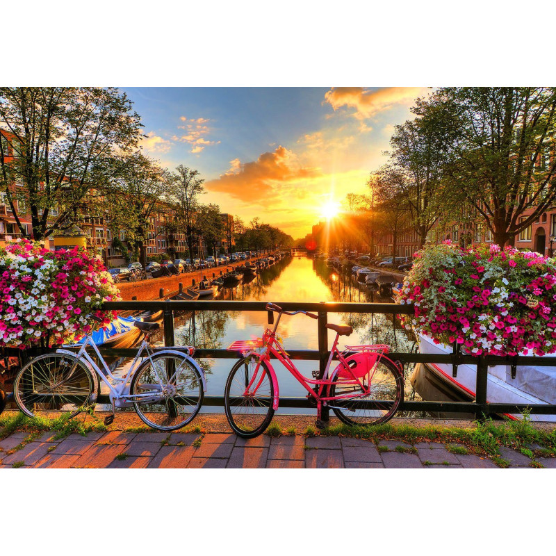 Wooden city Medinė Dviračiai Amsterdame 600 detalių