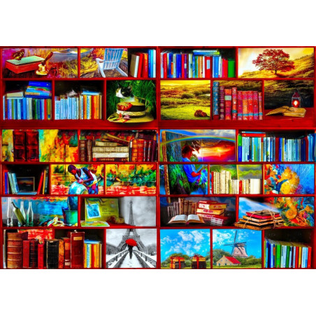 Blue bird Bibliotekos kelionių skyrius/The Library The Travel Section 1000 detalių